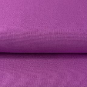 CANVAS violet