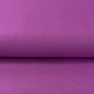 CANVAS violet