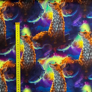 Sweat fabric Fantasy planets digital print