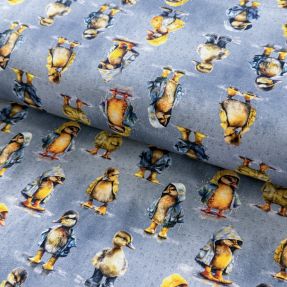 Jersey Raincoat ducklins grey digital print