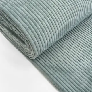 Corduroy FUTE lichen