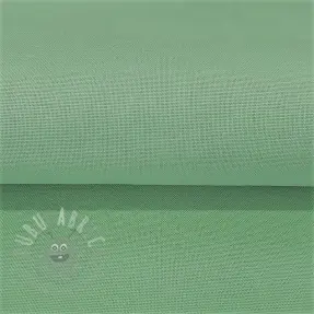 CANVAS mint