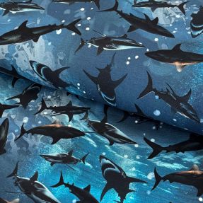 Jersey Great shark digital print 2nd class
