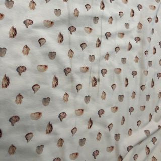 Jersey Baby Seashells digital print 2nd class