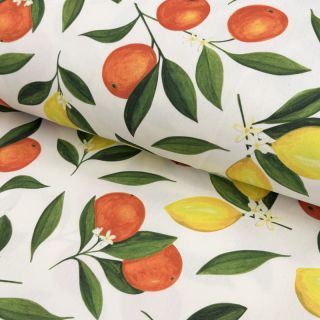 Outdoor decoration fabric teflon Citrus Fruit