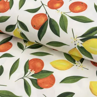 Outdoor decoration fabric teflon Citrus Fruit