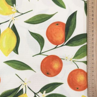 Outdoor decoration fabric teflon Citrus Fruit