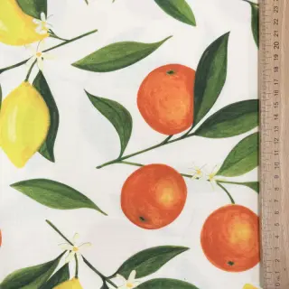 Outdoor decoration fabric teflon Citrus Fruit