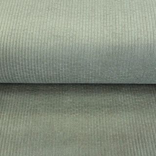 Corduroy sage