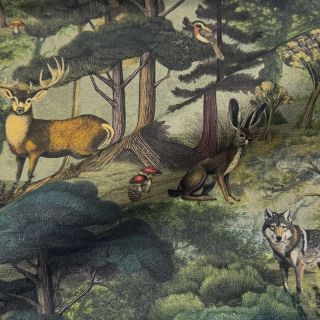 Decoration fabric Forest Heritage Art digital print