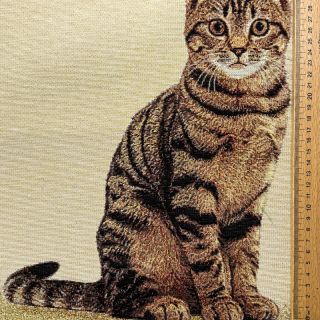Decoration fabric GOBELIN PREMIUM Sitting Kitten Cat PANEL