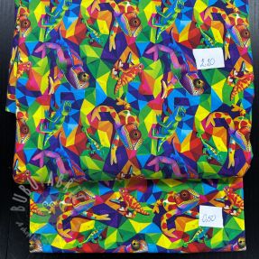 Last pieces package digi print jersey 2134