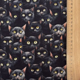 Sweat fabric Eyes on you design A digital print