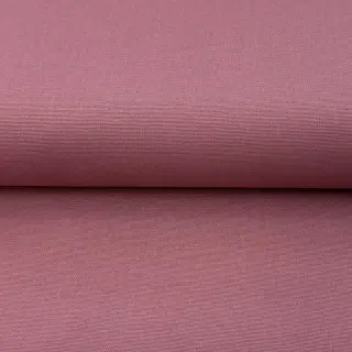 CANVAS dark blush